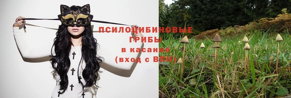 мет Абаза