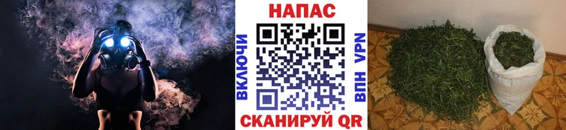 наркошоп  Исилькуль  Канабис планчик 